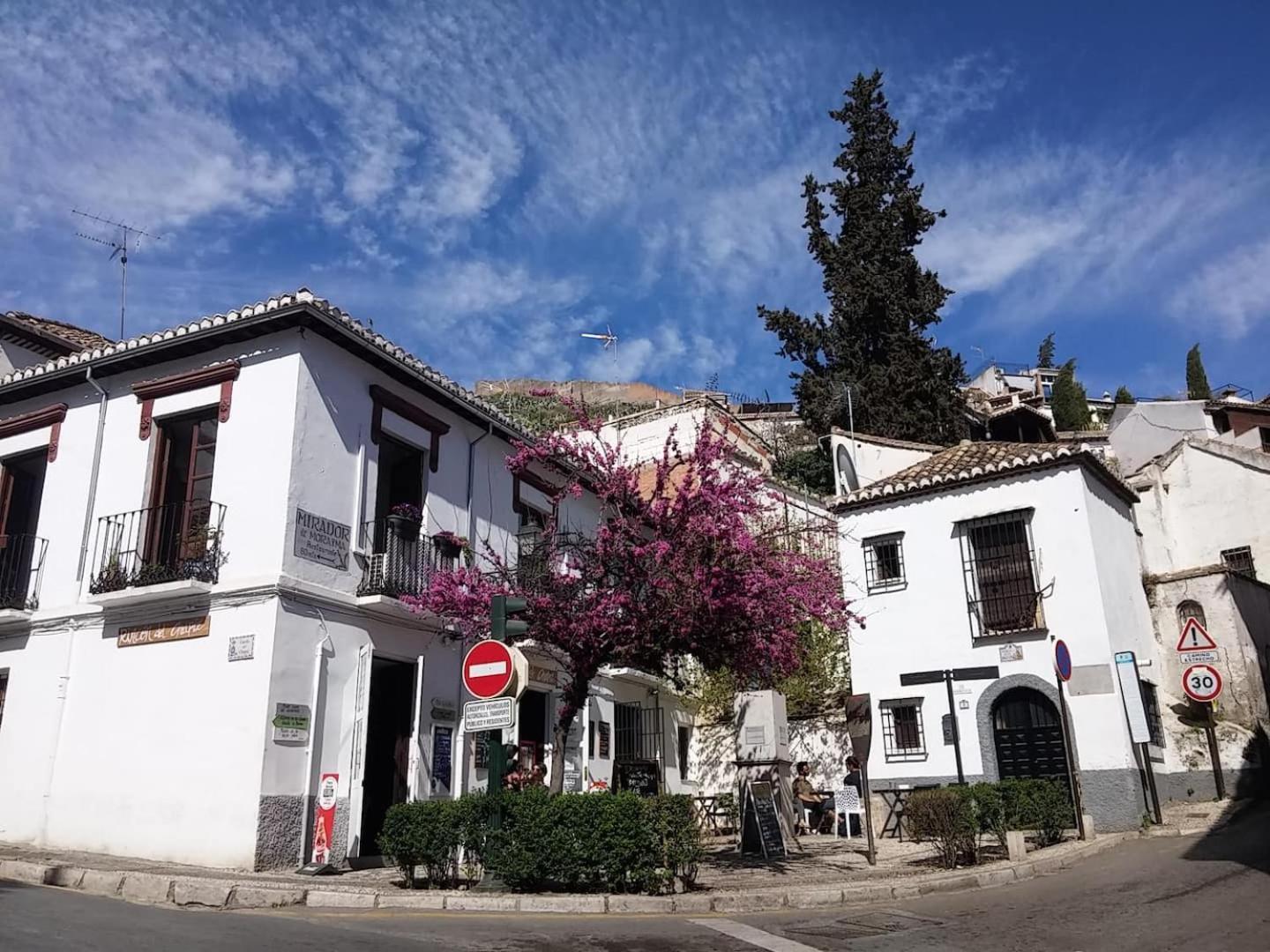 Charming Albaicin Patio Flat Free Onsite Parking Appartement Granada Buitenkant foto