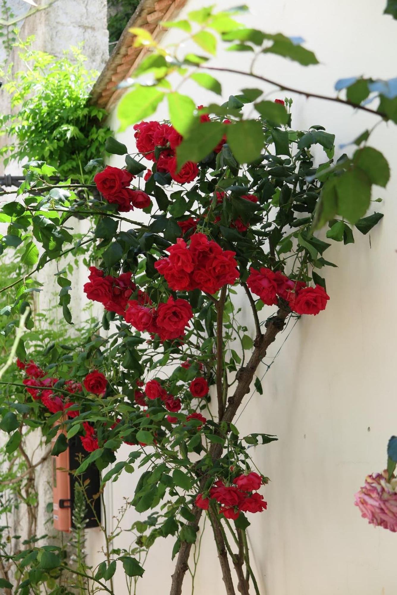 Charming Albaicin Patio Flat Free Onsite Parking Appartement Granada Buitenkant foto