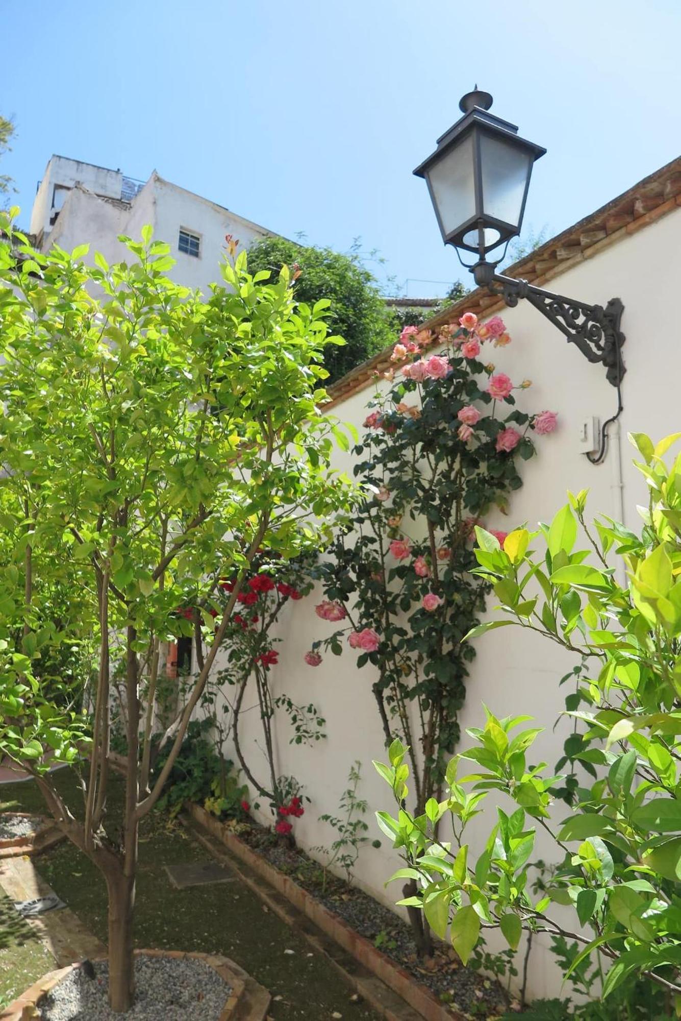 Charming Albaicin Patio Flat Free Onsite Parking Appartement Granada Buitenkant foto